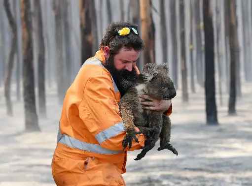 Manejo y Rescate de Fauna